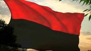 Himna na VMRO Anthem of VMRO [upl. by Nraa]