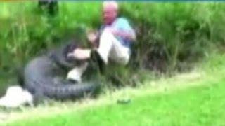 Man Describes Frightening Alligator Attack That Was Caught On Tape [upl. by Alain]