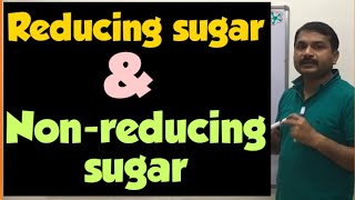 Reducing amp Nonreducing sugar [upl. by Grey]