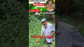 Bhumi Amla ke Chamatkari Fayde  Boost Your Health Naturally [upl. by Eenhpad939]