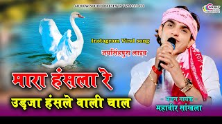 मारा हंसला रे उड़जा उड़जा हंसले वाली चाल  Mahaveer sankhla viral bhajan  Mara hansla re trending [upl. by Averi]