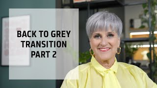 Going Back to Grey Hair Transition Service Part 2  Goldwell Education Plus [upl. by Fontes]