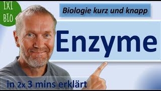 Enzyme  Alles Wichtige für das Abi in 2x3 Minuten einfach erklärt  Biologie kurz und knapp [upl. by Bartholomeo]