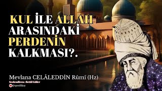 Kul ile Allah Arasındaki Perdenin Kalkması  Mevlana Celaleddin Rumi Sesli Kitap [upl. by Doty72]