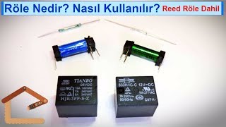 Röle Relay Nedir Nasıl Kullanılır Reed Röle Dahil 18 [upl. by Ainegul436]