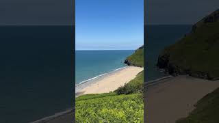 Summer at Penbryn beach  VC roll call short shorts viralshort [upl. by Enilasor853]