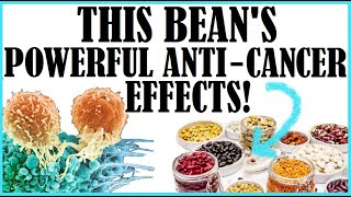 Wow This Beans Powerful AntiCancer Effects [upl. by Esinaej]