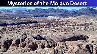 The Mojave Desert A Journey Through Extreme Heat [upl. by Sephira74]