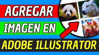 Como Agregar Una Imagen En Adobe Illustrator 2024 Facil y Rapido [upl. by Artemla359]