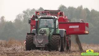 Aardappels rooien met 3X Grimme SE 15060  Deddens  Jansen Tiendeveen  LU Heinisch [upl. by Prosper]