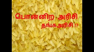 பொன்னிற அரிசி தங்கஅரிசி [upl. by Sink311]