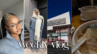 WEEKLY VLOG  Getting Back into Routine Apartment Shopping Cooking Dog CBD etc SunnyDaze 140 [upl. by Eiffe]