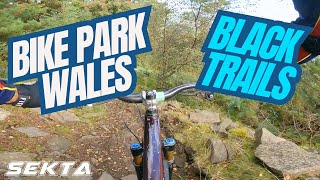 BIKE PARK WALES MTB💥Easiest BLACK trails [upl. by Sailesh]