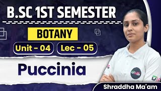 BSc 1st Semester Botany Unit4th Puccinia lecture05  BSc Botany 1st year Important Questions [upl. by Moise]