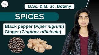 Economic Botany  SPICES  B Sc amp M Sc [upl. by Dazraf]