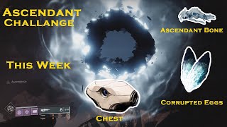 Ascendant Challenge This Week Eggs  Bones [upl. by Rakia36]