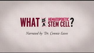 What is a hematopoietic stem cell Narrated by Dr Connie Eaves [upl. by Ronoel]