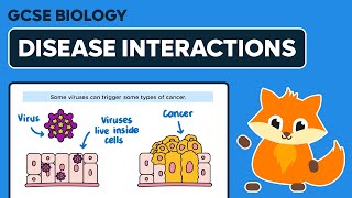 Disease Interactions  GCSE Biology [upl. by Avot]