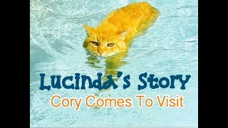 Children’s Sleep Meditation Story  Lucindas Story Cory Comes To Visit [upl. by Eecyaj475]