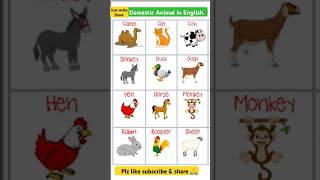 Domestic Animals Name in English Domestic Animals Name  Domestic Animals  Domestic Animal shorts [upl. by Jeggar]