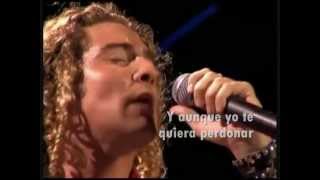 DAVID BISBAL ODIO Y PLACER  Lyrics [upl. by Jaan]