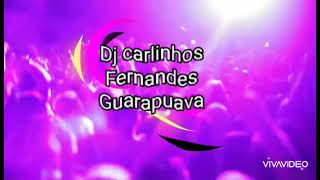 FuNdO Da GrOtA  Baitaca remix  Dj carlinhos Fernandes Gpva [upl. by Naelcm238]