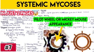 Systemic mycoses part 1  histoplasmosis basidiomycosis coccidioidomycosis paracoccidioidomycosis [upl. by Clover]