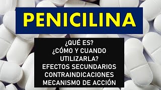 🔴 PENICILINA  Cómo y cuándo debemos administrarla Efectos secundarios Contraindicaciones y MÁS [upl. by Camilia160]