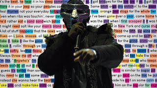 MF DOOM  Vomitspit  Rhymes Highlighted [upl. by Duvall]