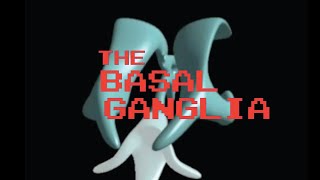 Neuroanatomy The Basal Ganglia [upl. by Renado]