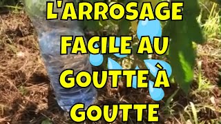 Comment bien arroser ses plantes [upl. by Eceinehs]