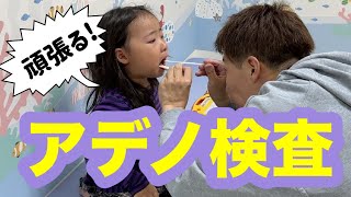 【この時期に💦】たねちゃんアデノに感染しました😭 [upl. by Ludovico]