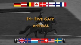 F1 Five Gait AFinal WC Icelandic Horses Islandpferde WM VM Islandshästar 2013 [upl. by Godden]