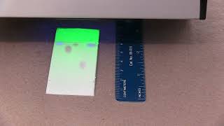 CHE 361L  Thin Layer Chromatography 5 [upl. by Ardiekal359]