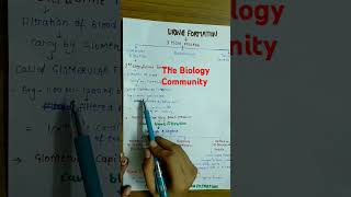 URINE FORMATIONCLASS 11 excretoryproductsamptheireliminationbioneetcbsehumanphysiologyshortsyt [upl. by Einnok]