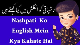 Nashpati Ko English Mein Kya Kahate Hain  Nashpati Ka English  Nashpati Ka English Kya Hota Hai [upl. by Aciretahs413]