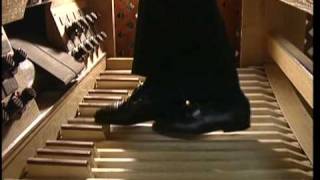 XAVER VARNUS PLAYS BACHS PASSACAGLIA IN THE GREAT SYNAGOGUE ORGAN OF BUDAPEST 22 [upl. by Hamid]