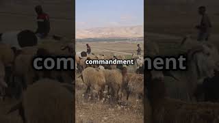 Deuteronomy 22  Ancient Laws Unveiled  KJV Minute  King James Bible explained [upl. by Dympha970]