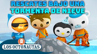 Los Octonautas  ❄️ Rescates bajo una tormenta de nieve ⛑️  Episodios Completos  Compilado [upl. by Okiek975]