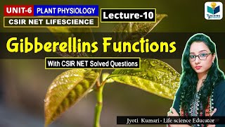 GIBBERELLIN FUNCTIONS PHYTOHORMONES PART10 CSIR NETPLANT BIOLOGY [upl. by Eelyahs]