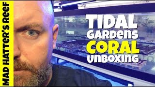 Tidal Gardens Coral Unboxing [upl. by Polik]