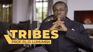 LUMUMBA EXPLAIN EPISODE 8 TRIBES [upl. by Naenaj]