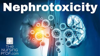 Renal Emergencies Nephrotoxicity [upl. by Oikim]