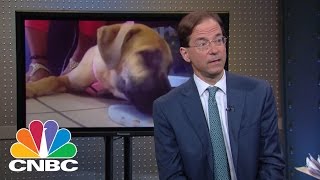 IDEXX Laboratories CEO Play On Pets  Mad Money  CNBC [upl. by Teillo]