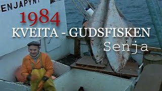 Kveita  Gudsfisken Kveitefiske vest av Senja 1984 [upl. by Oaoj]