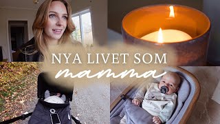 LIVET SOM NY MAMMA👶🏼🍼  att älska mammalivet leva ett annorlunda liv amp vardag med nyfödd🧡🍂 [upl. by Aneerbas732]