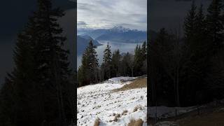 Snow Mount Pilatus Lake Lucerne View above Kaenzeli Rigi Kaltbad Weggis Switzerland Shorts [upl. by Asirret]