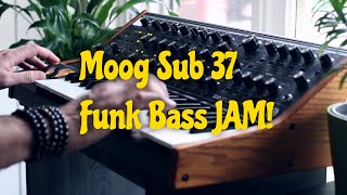 Moog Funk Bass Jam  Mike Pensini on Sub 37 Subsequent 37 [upl. by Divine]