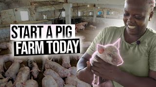 A Full Pig Farming Guide For Beginners [upl. by Corty]