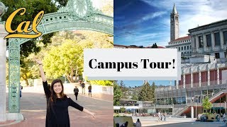 UC Berkeley Campus Tour  Showing YOU Around UC Berkeley [upl. by Ardnaet382]